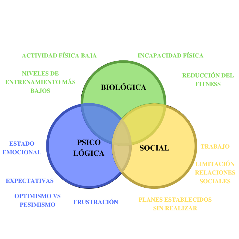Diagrama

Descripción generada automáticamente