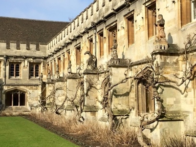 Un dibujo de un edificio

Descripción generada automáticamente con confianza media