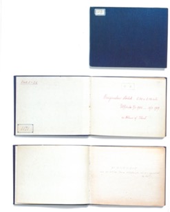 Texto, Pizarra
Descripción generada automáticamente