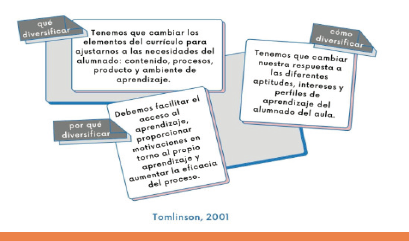 Imagen 1: Preguntas para plantear la diversificación. Tomlinson (2001)