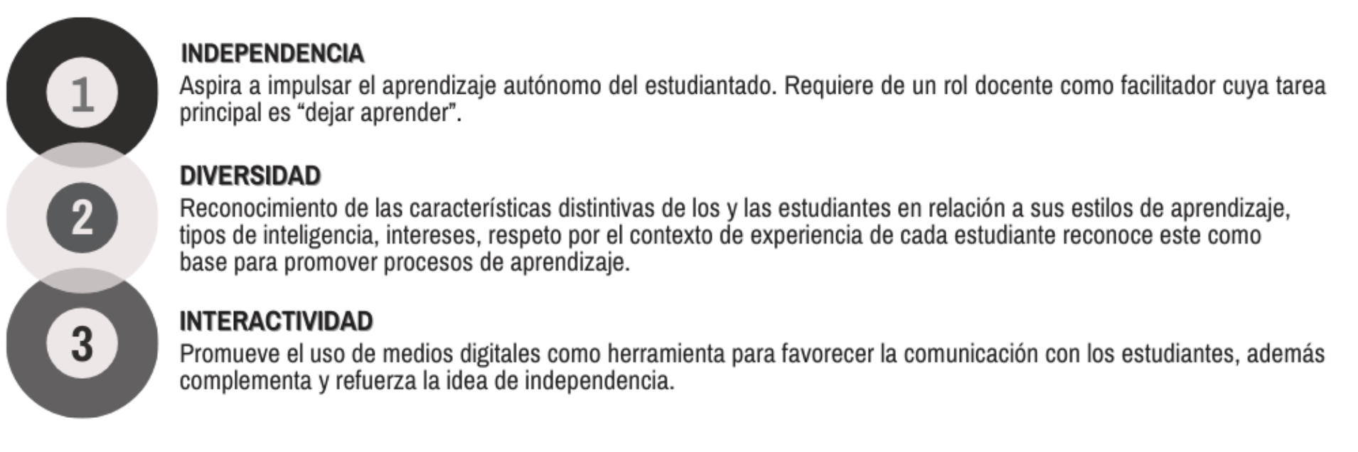 Ideas fuerza del Curso CRIPS Ciclo Común Básico, Universidad de Ibagué.