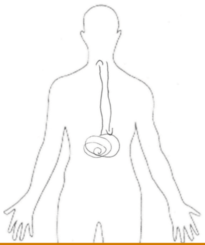 Referencia analógica de sensaciones experimentadas en episodio 7