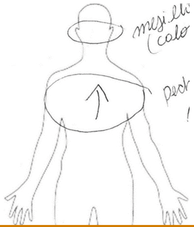 Referencia analógica de sensaciones experimentadas en episodio 14