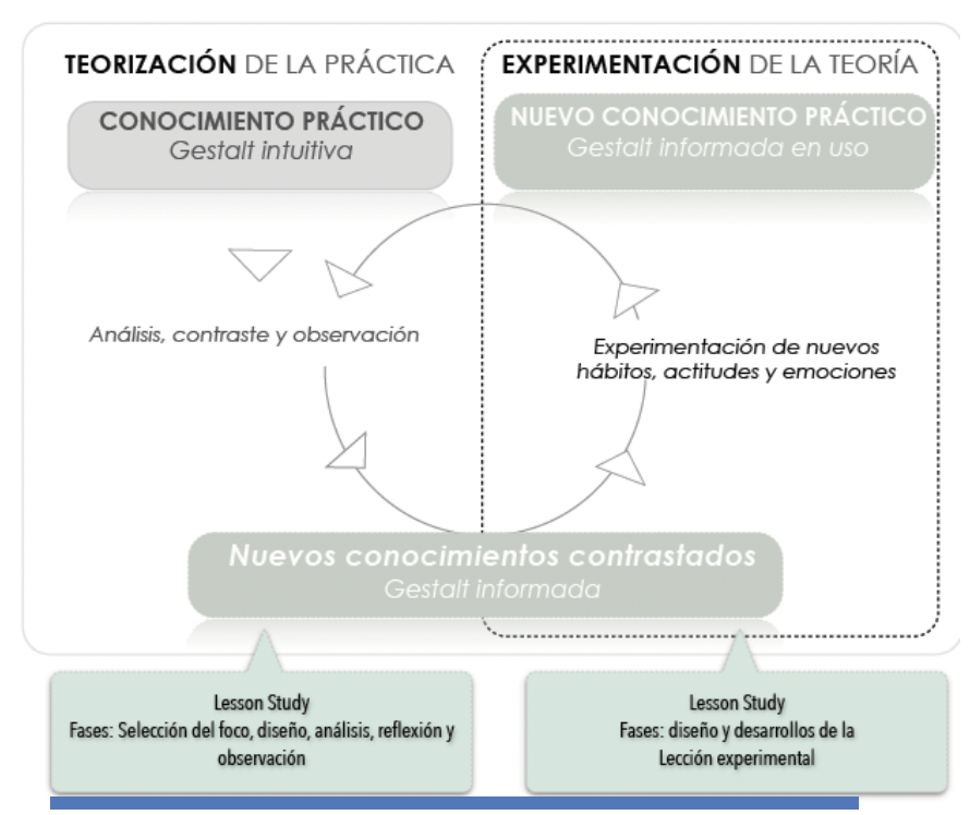 Ciclo del Pensamiento práctico y Lesson Study