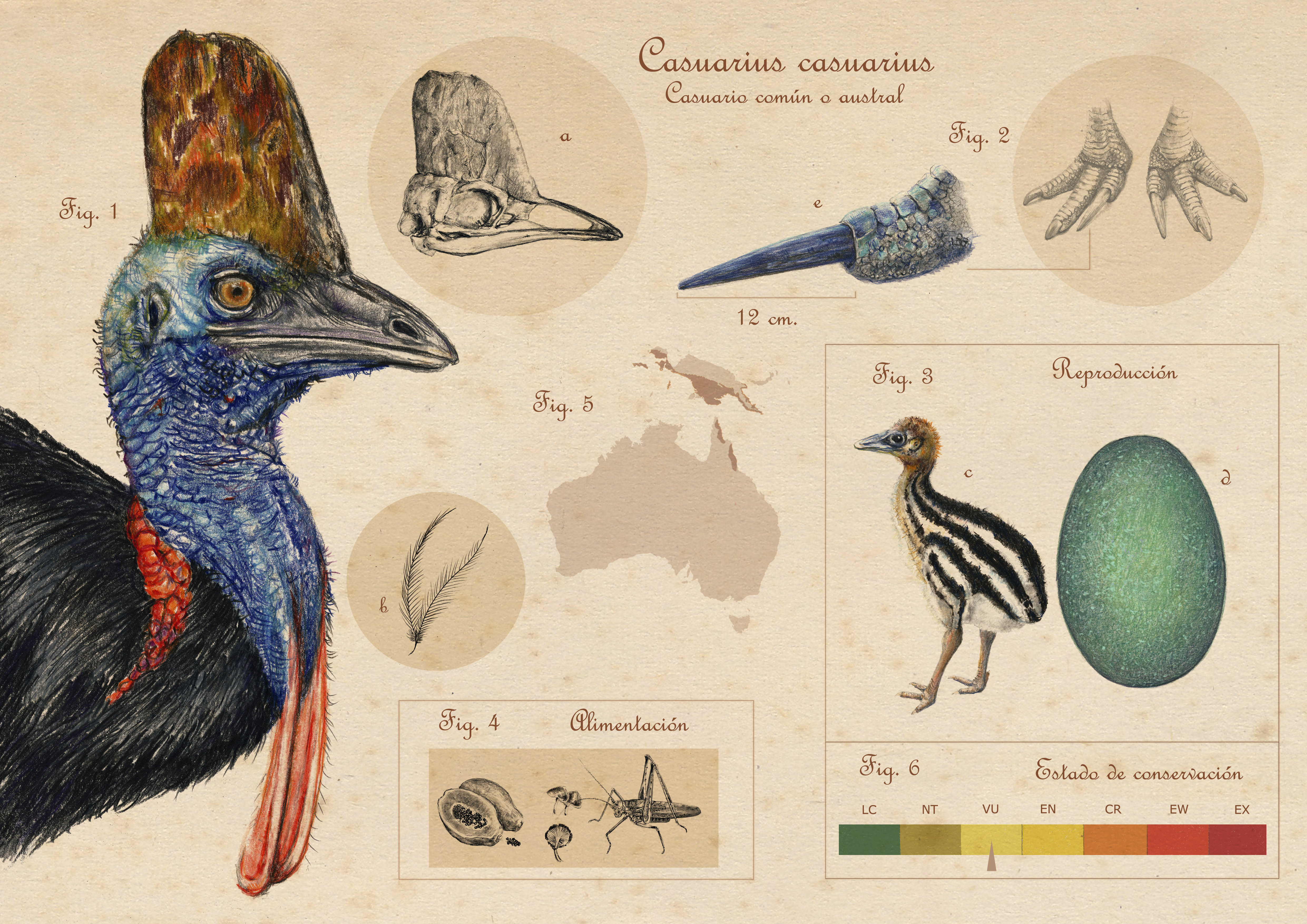 					Ver Vol. 17 Núm. 193 (2025): Otoño 2025
				